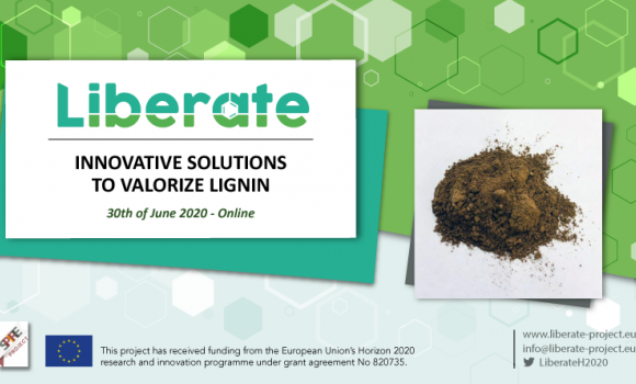 Press Release - Online Workshop: Innovative Solutions to Valorize Lignin - Κεντρική Εικόνα