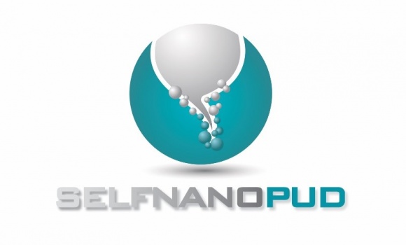 SELFNANOPUD